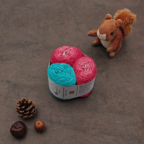 Kit Chaussettes - Pécan Fing - Azalée Gradient + Caraïbes - S
