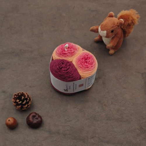 Kit Chaussettes - Amande Fing - Lantana Gradient + Pivoine - S